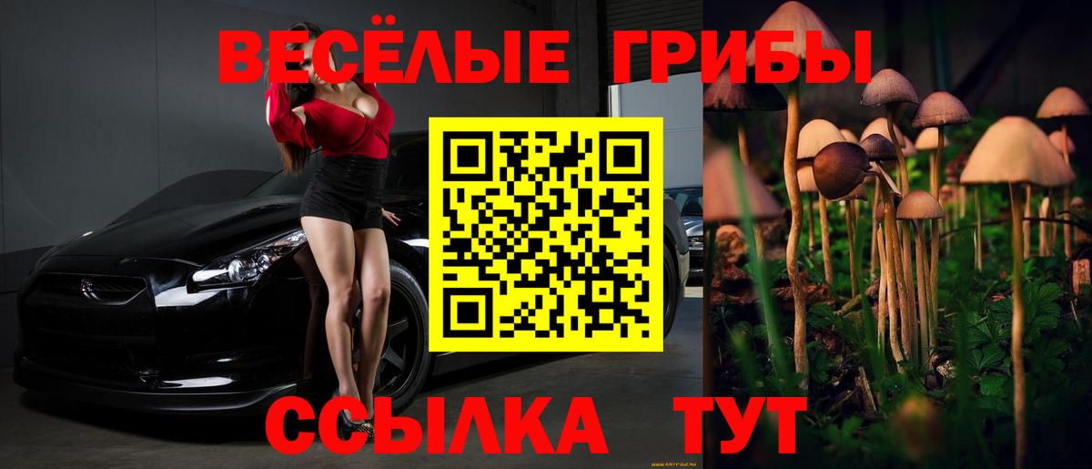 Галлюциногенные грибы Cubensis  Вход с VPN  Псилоцибиновые грибы мицелий  Мытищи 